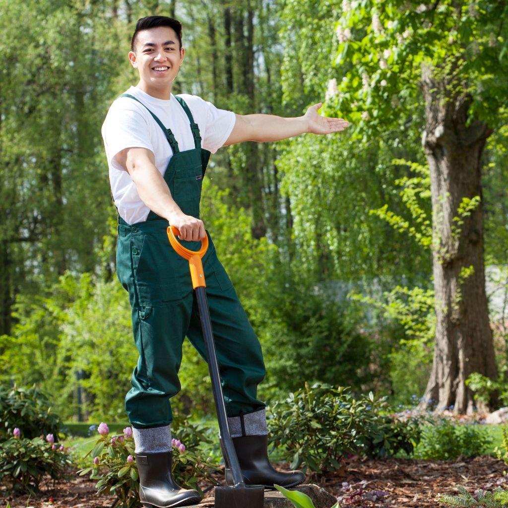 خدمات المسطحات الخضراء